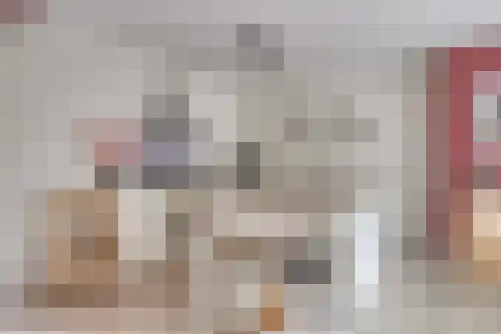 Vleeshouwersdreef 4 Maastricht thumbnail 15