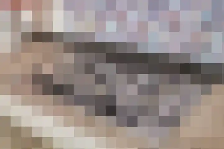Vleeshouwersdreef 4 Maastricht thumbnail 17