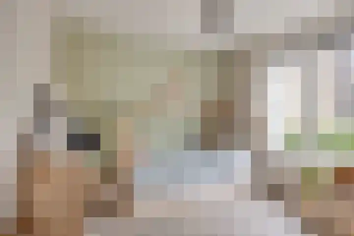 Vleeshouwersdreef 4 Maastricht thumbnail 21