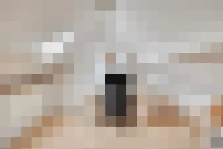 Vleeshouwersdreef 4 Maastricht thumbnail 28