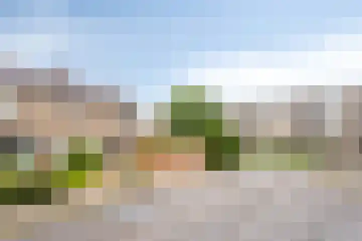 Vleeshouwersdreef 4 Maastricht thumbnail 33