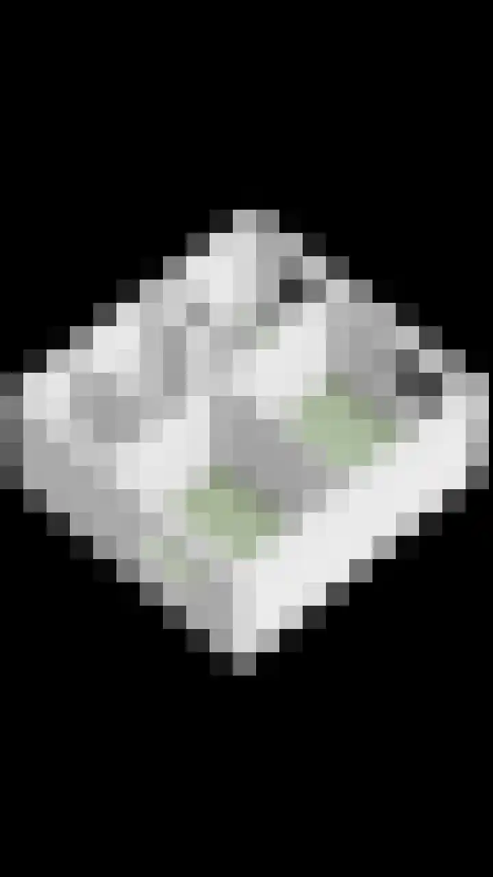 Vleeshouwersdreef 4 Maastricht thumbnail 38