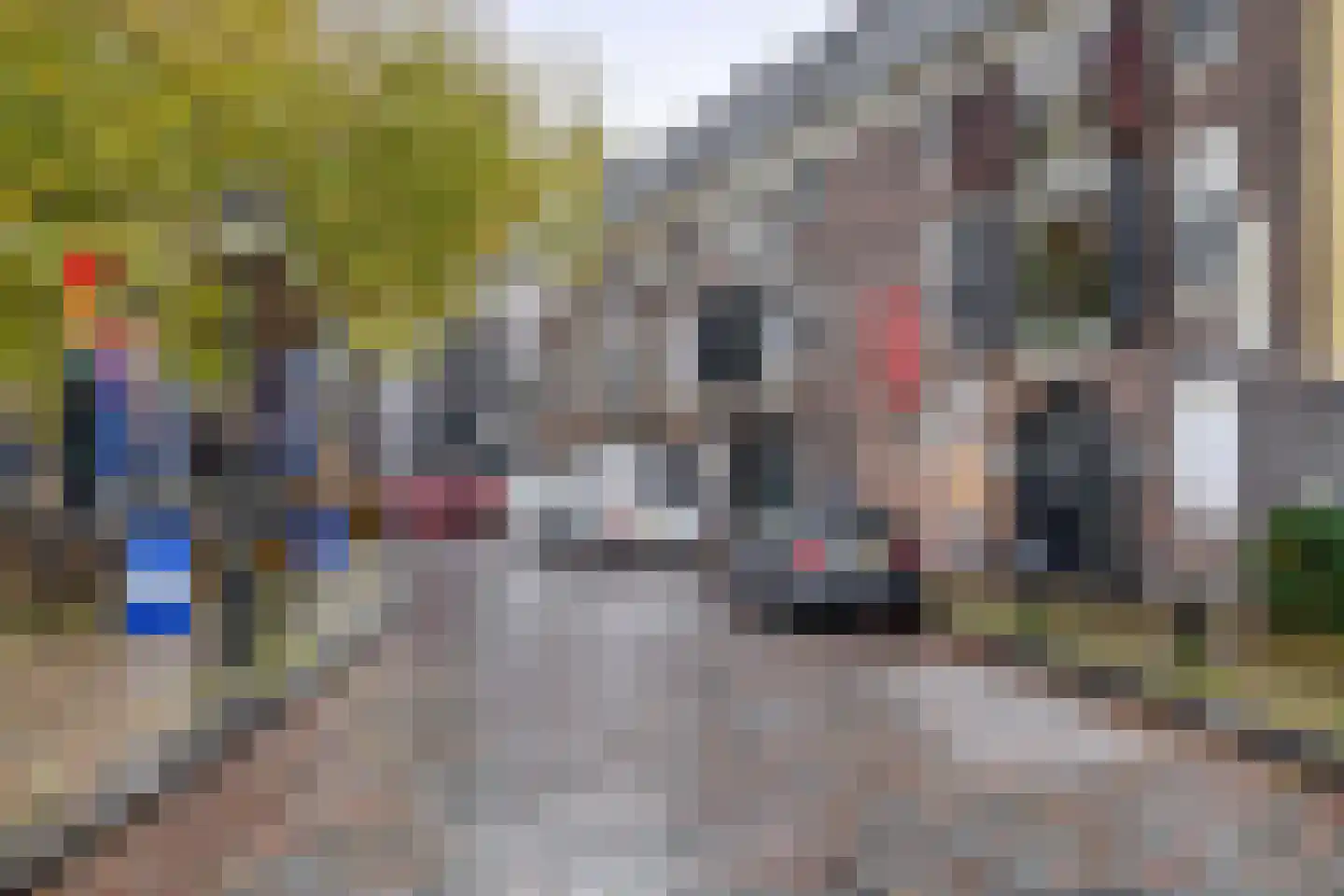 Vleeshouwersstraat 6 Dordrecht thumbnail 29