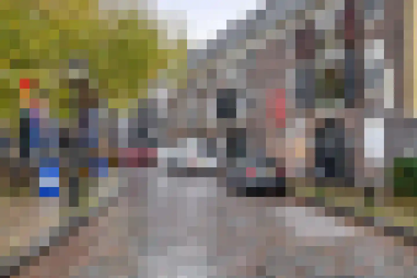 Vleeshouwersstraat 6 Dordrecht thumbnail 29