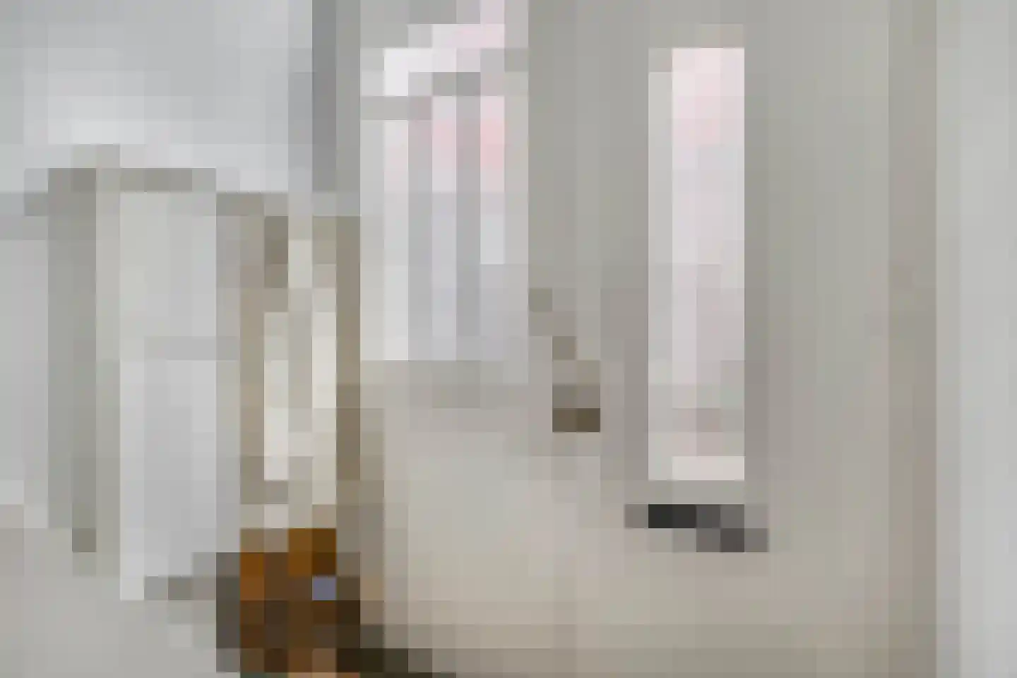 Vleeshouwersstraat 6 Dordrecht thumbnail 9