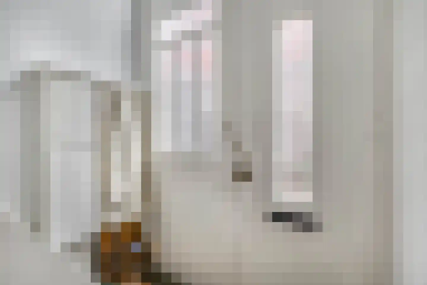 Vleeshouwersstraat 6 Dordrecht thumbnail 9