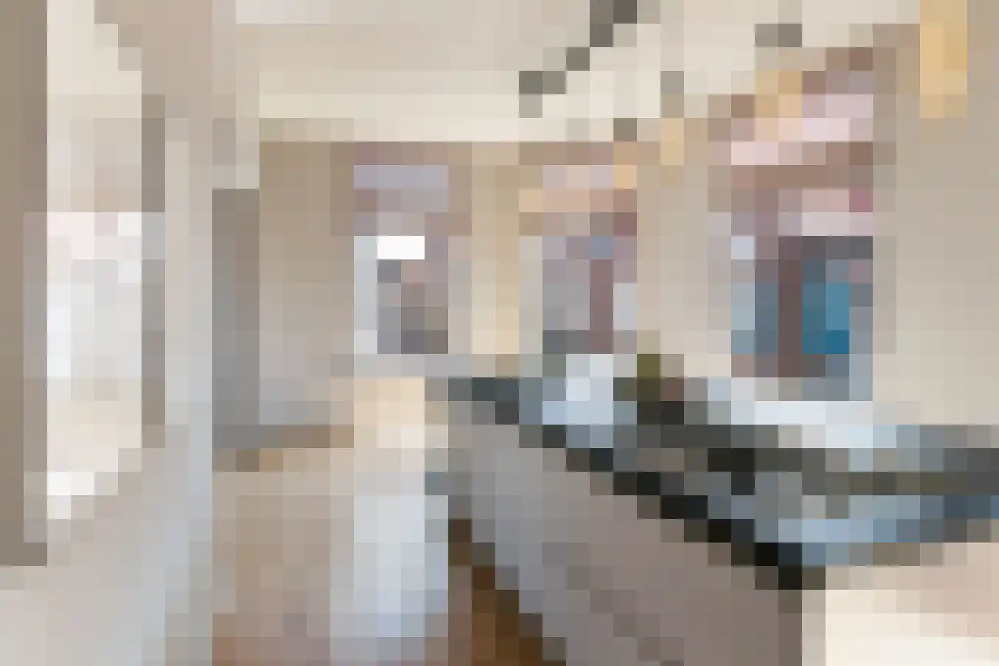 Vleeshouwersstraat 9 Dordrecht thumbnail 30