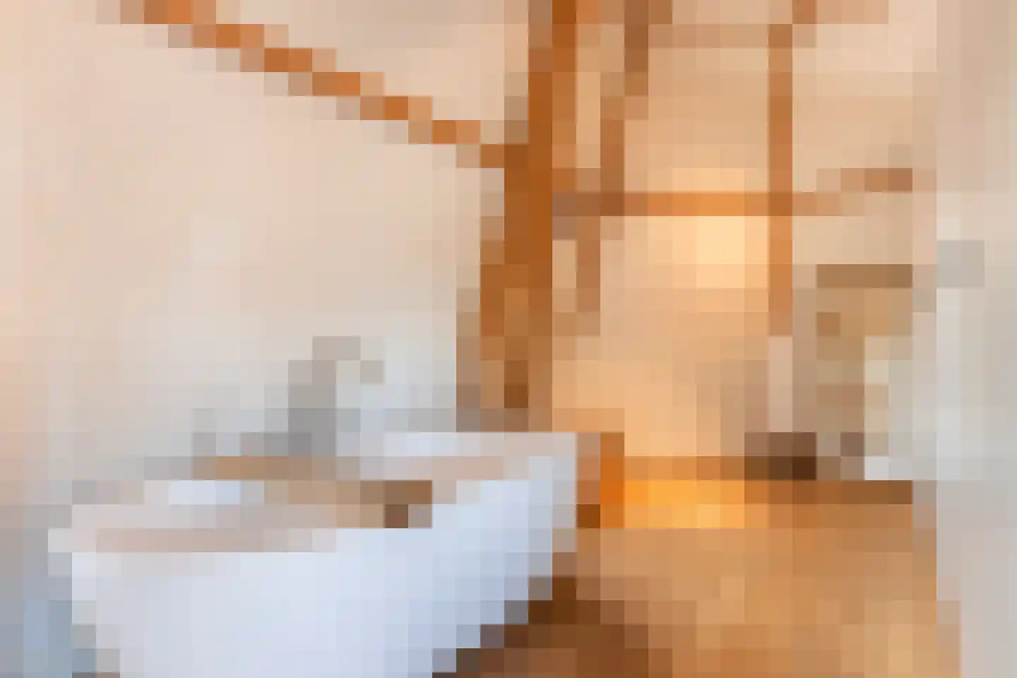 Vleeshouwersstraat 9 Dordrecht thumbnail 33