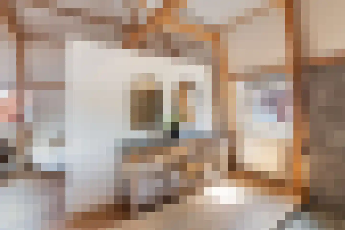 Vleeshouwersstraat 9 Dordrecht thumbnail 34