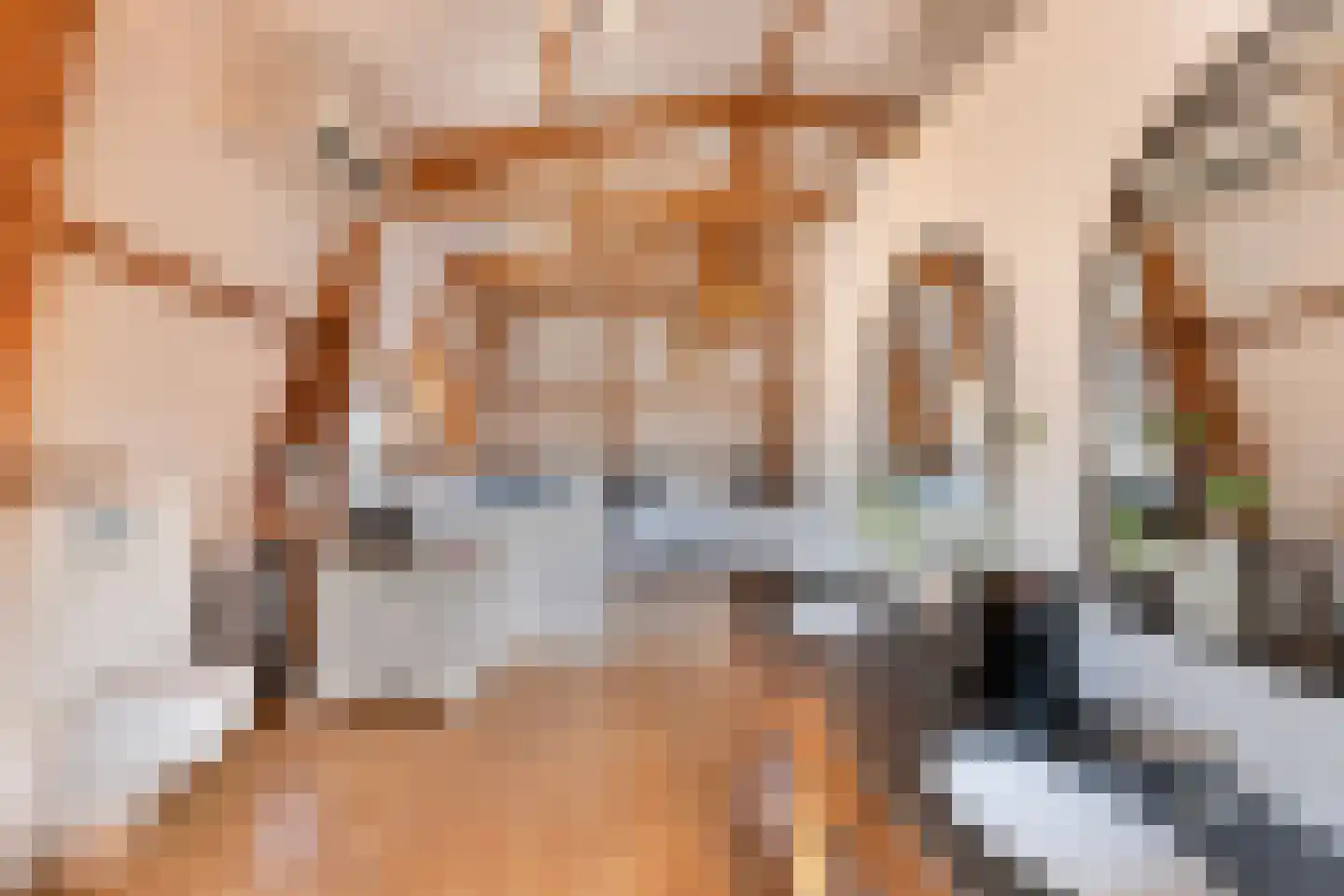Vleeshouwersstraat 9 Dordrecht thumbnail 36
