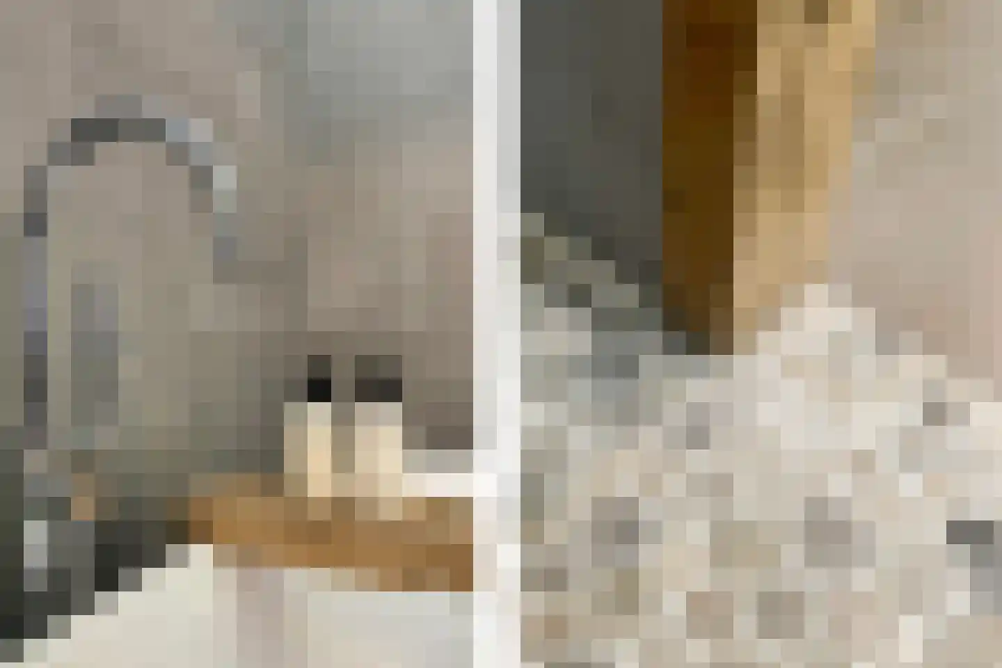 Vleeshouwersstraat 9 Dordrecht thumbnail 37