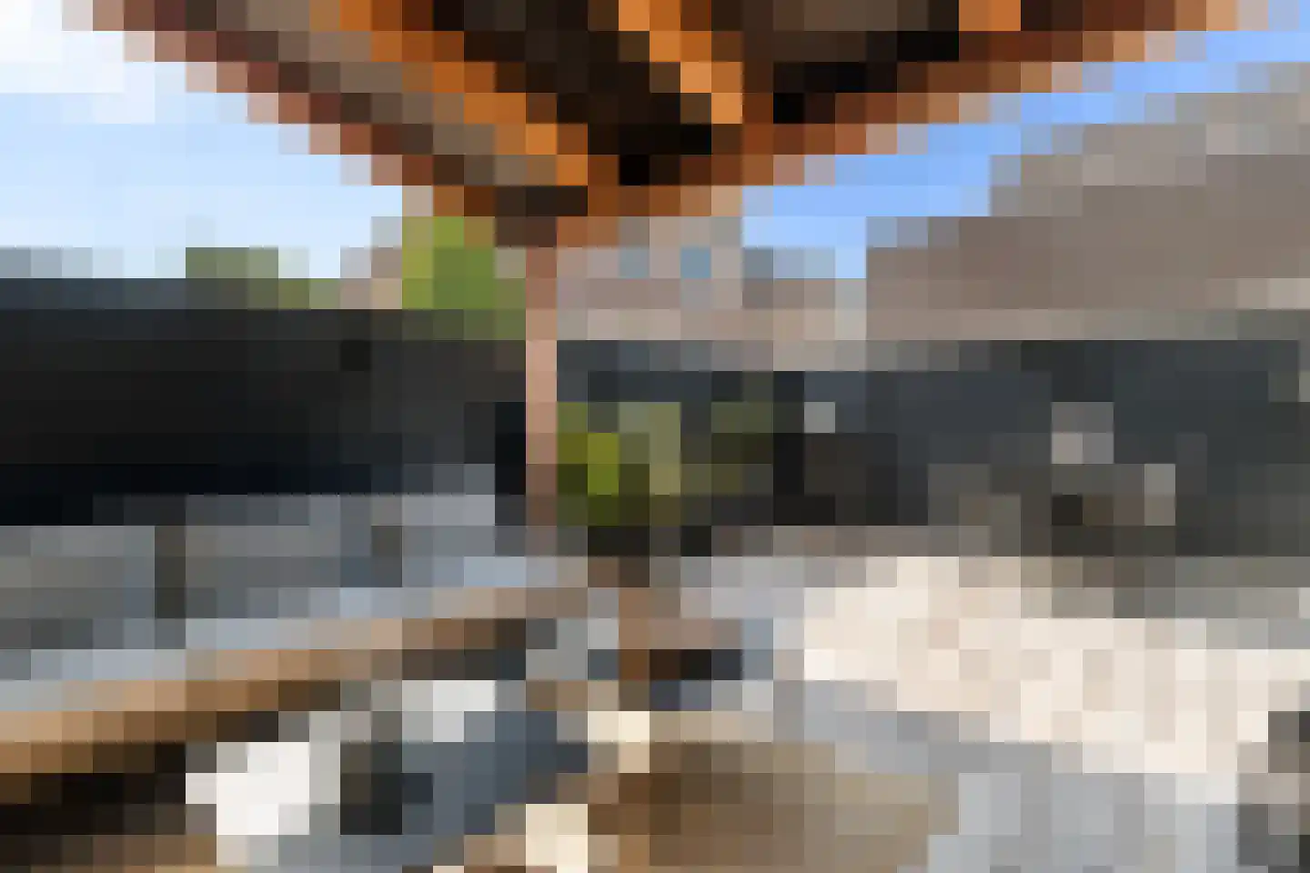 Vleeshouwersstraat 9 Dordrecht thumbnail 38