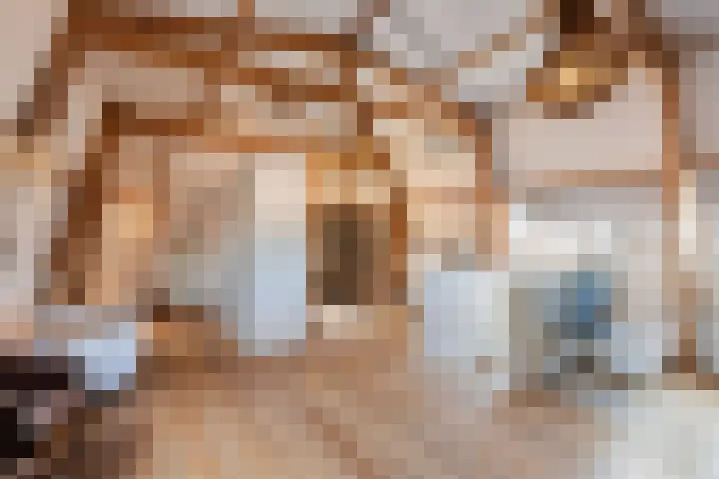 Vleeshouwersstraat 9 Dordrecht thumbnail 40