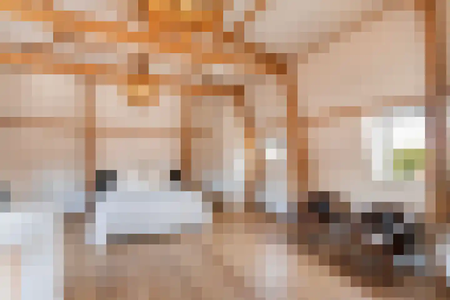Vleeshouwersstraat 9 Dordrecht thumbnail 45