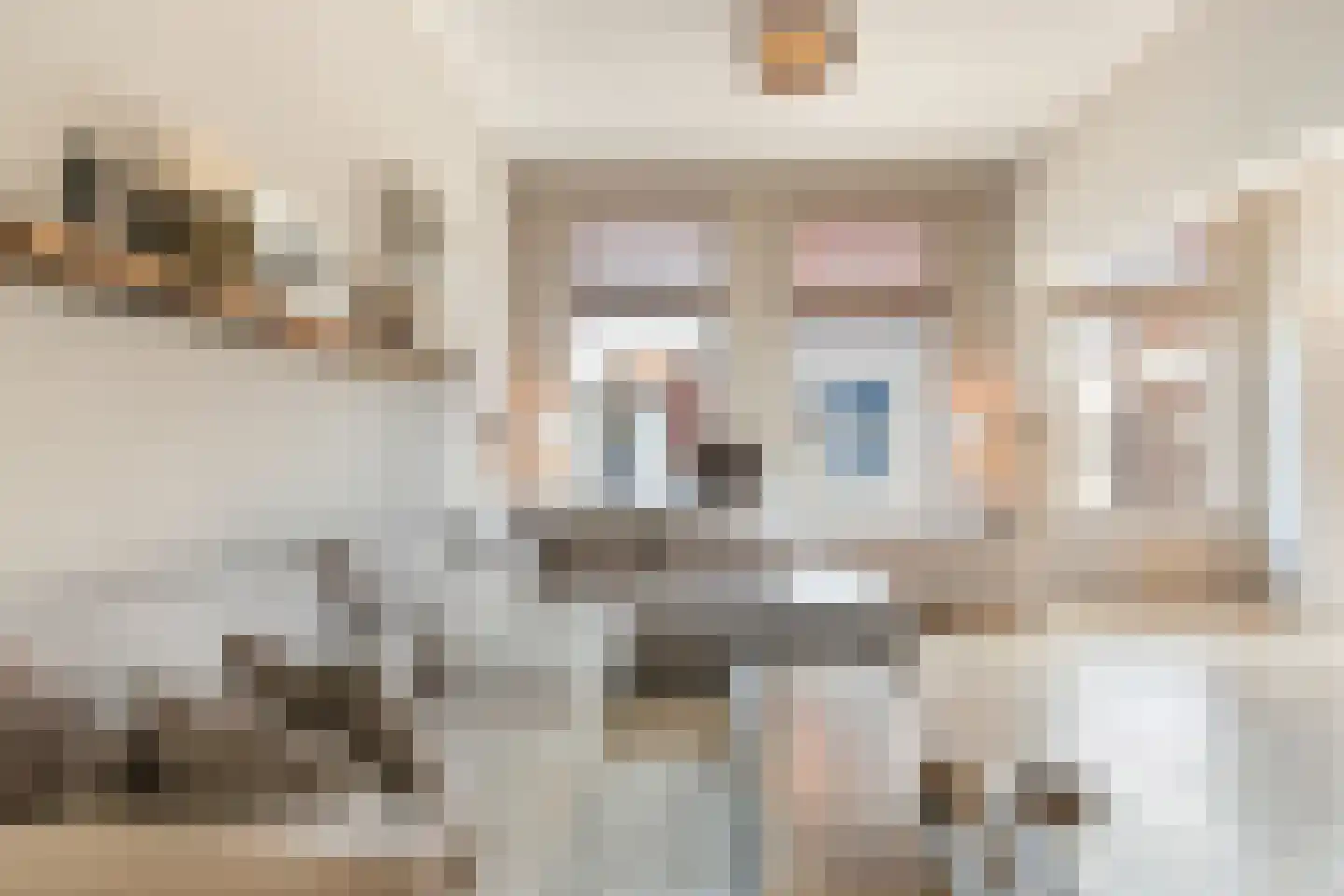 Vleeshouwersstraat 9 Dordrecht thumbnail 5