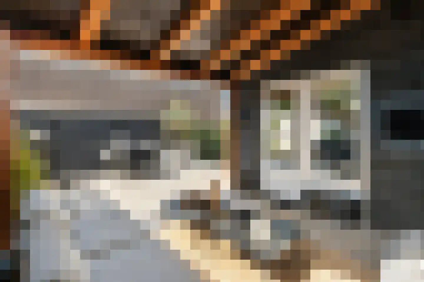 Vleeshouwersstraat 9 Dordrecht thumbnail 50