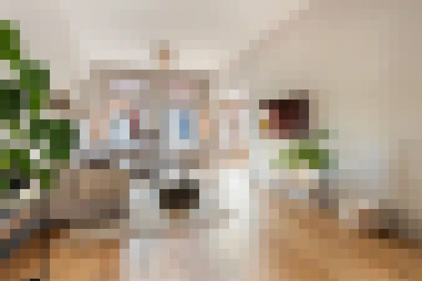Vleeshouwersstraat 9 Dordrecht thumbnail 6