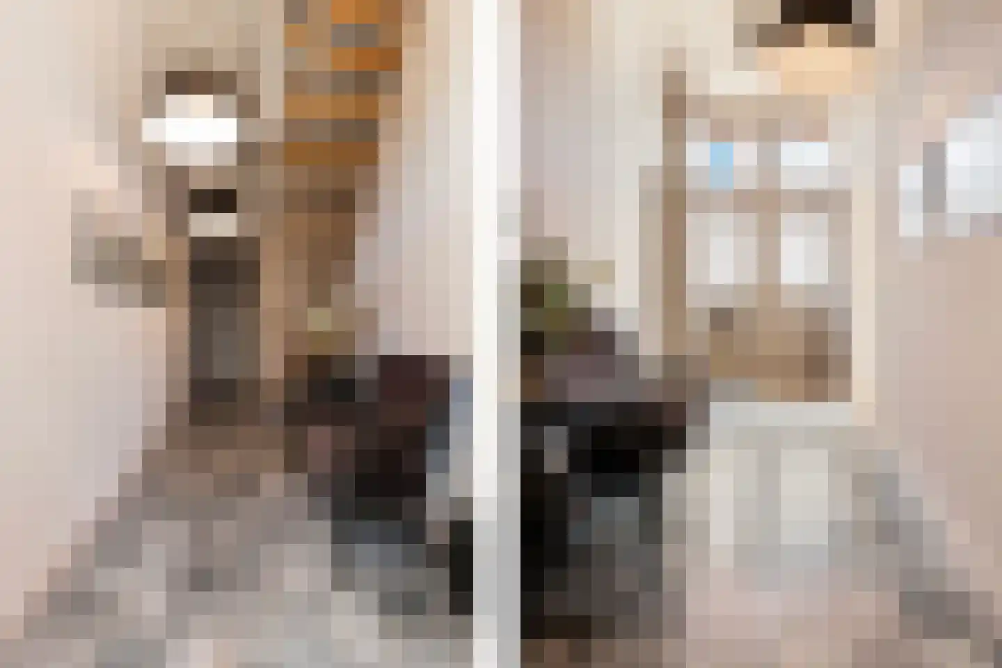 Vleeshouwersstraat 9 Dordrecht thumbnail 8