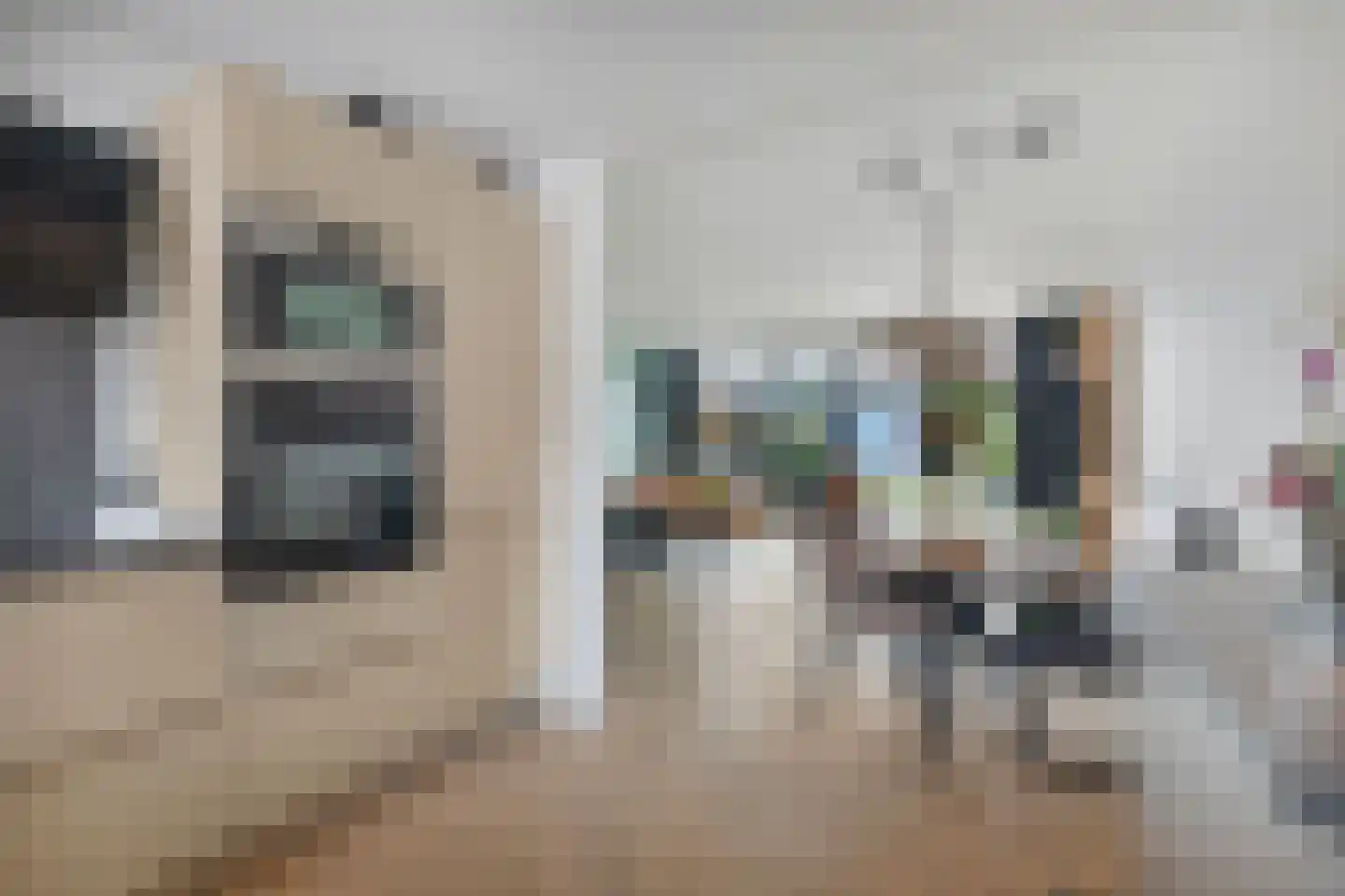 Vleeshouwerstraat 1 Alkmaar thumbnail 13