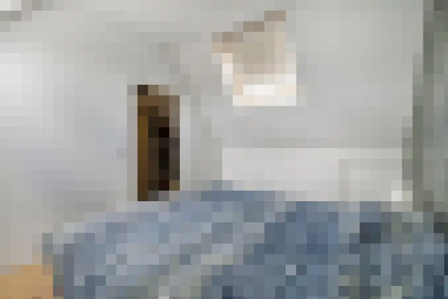 Vleeshouwerstraat 1 Alkmaar thumbnail 23