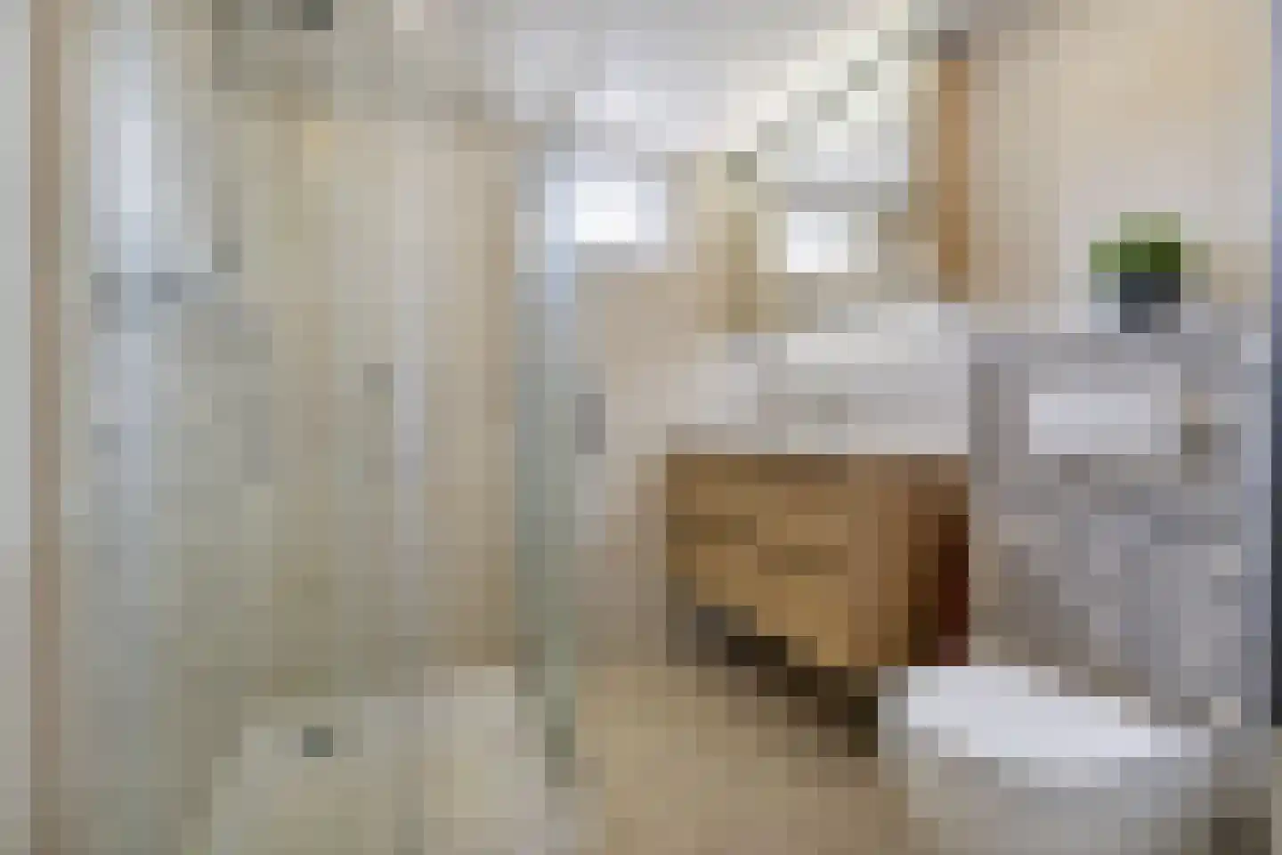 Vleeshouwerstraat 1 Alkmaar thumbnail 24