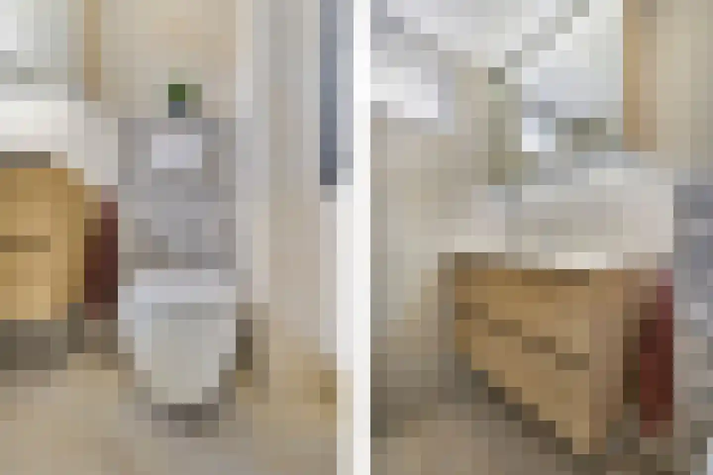 Vleeshouwerstraat 1 Alkmaar thumbnail 26