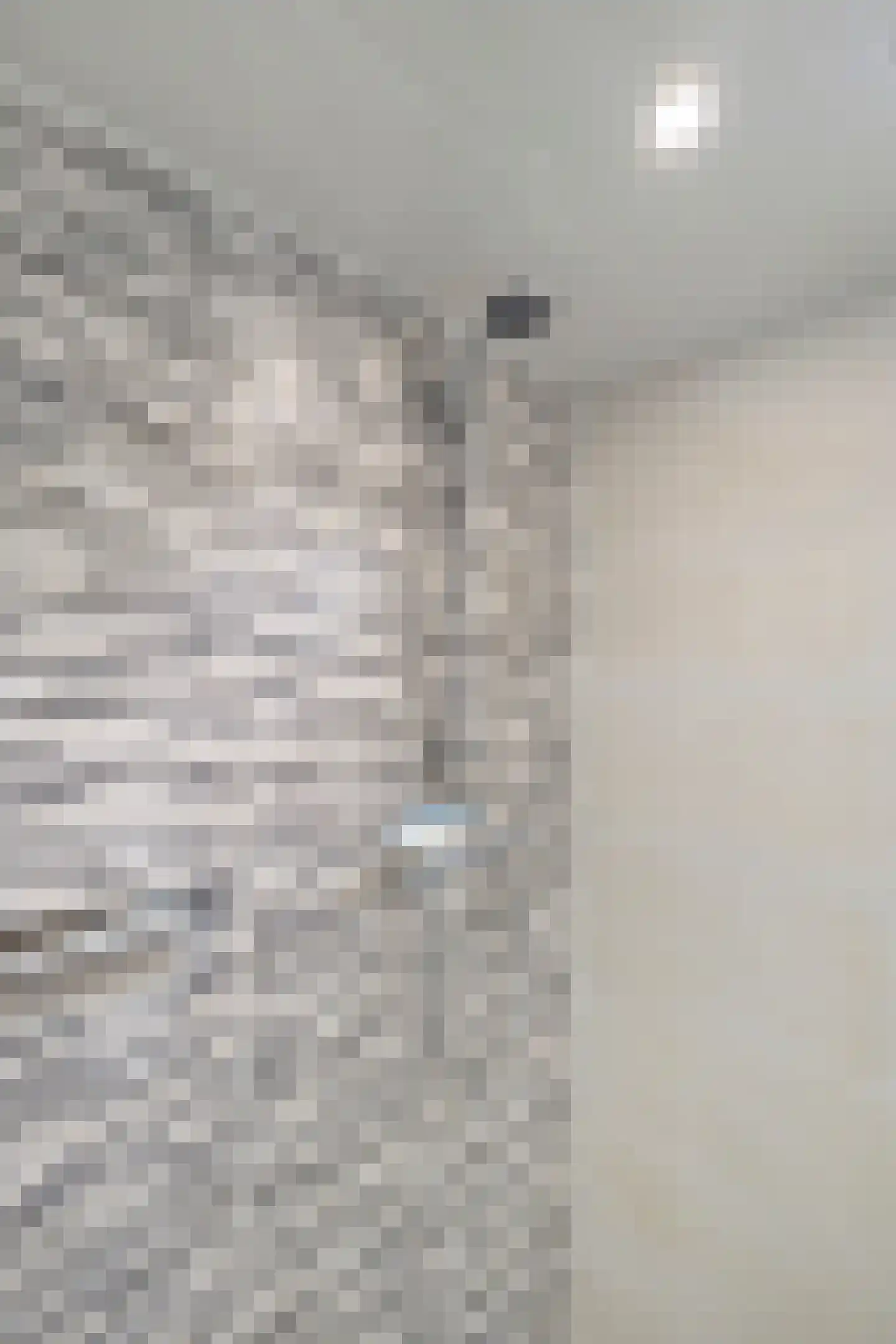 Vleeshouwerstraat 1 Alkmaar thumbnail 31