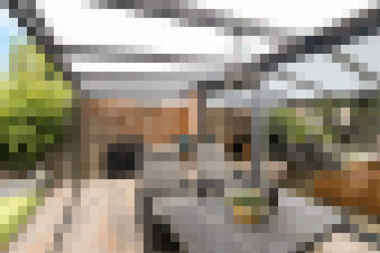 Vleeshouwerstraat 1 Alkmaar thumbnail 34