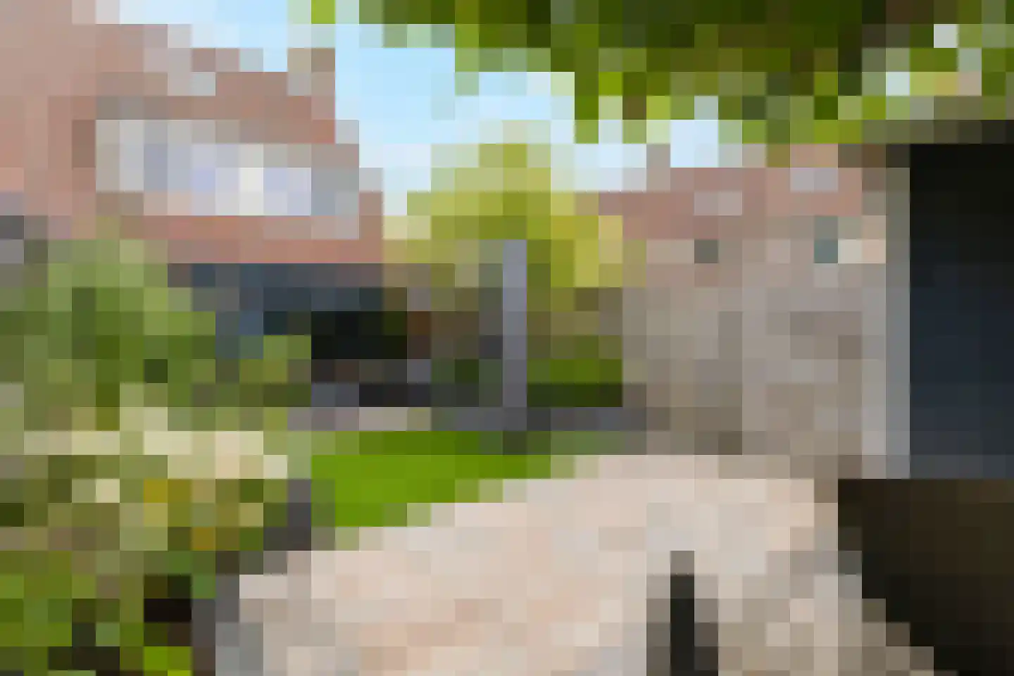 Vleeshouwerstraat 1 Alkmaar thumbnail 37