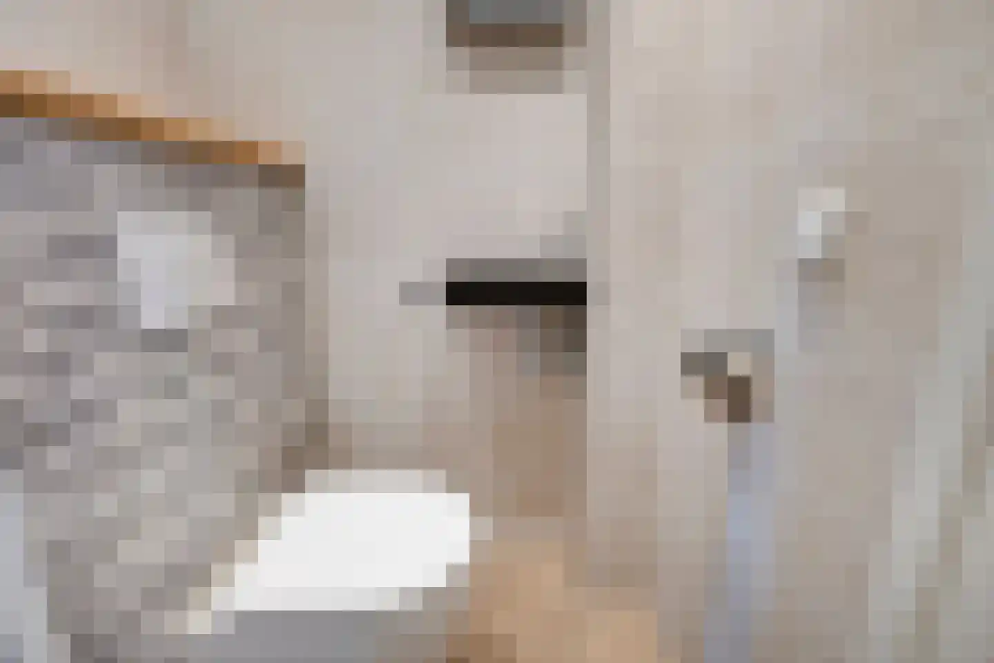 Vleeshouwerstraat 1 Alkmaar thumbnail 5