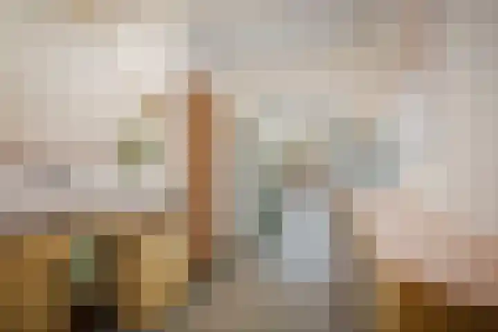 Vleeshouwerstraat 11 Deventer thumbnail 50