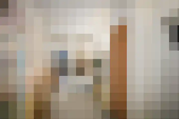 Vleeshouwerstraat 11 Deventer thumbnail 51