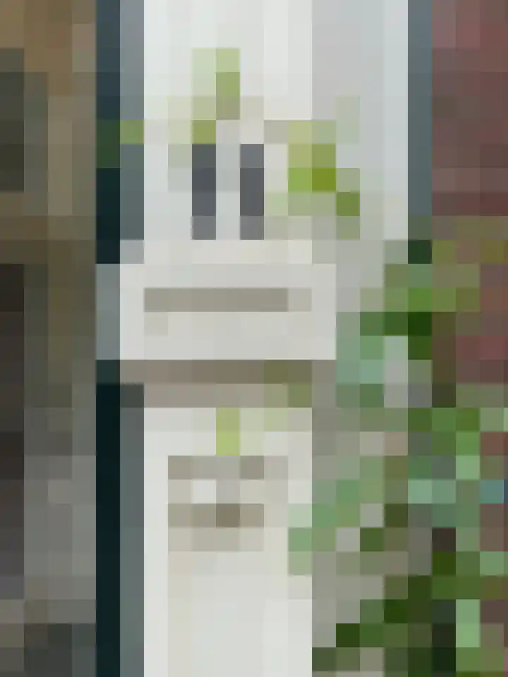 Vleeshouwerstraat 11 Deventer thumbnail 62