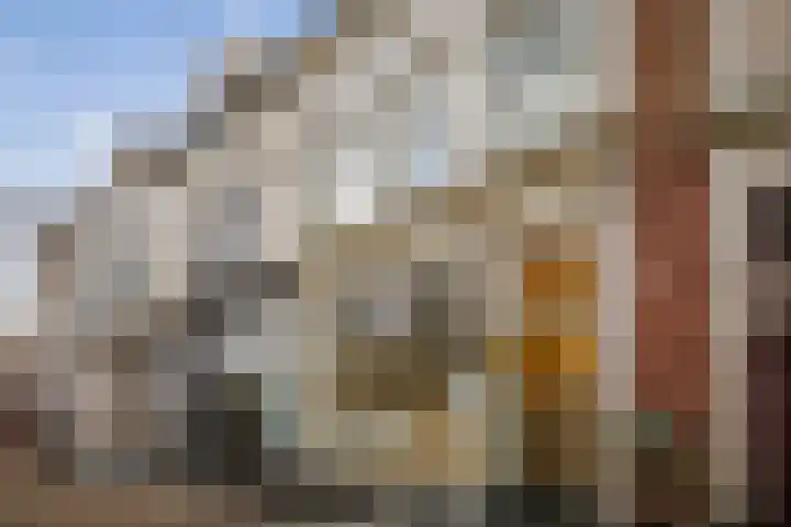 Vleeshouwerstraat 11 Deventer thumbnail 63