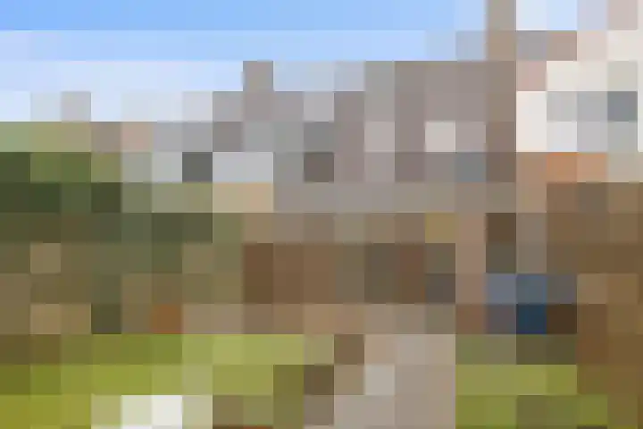 Vleeshouwerstraat 14 Alkmaar thumbnail 27