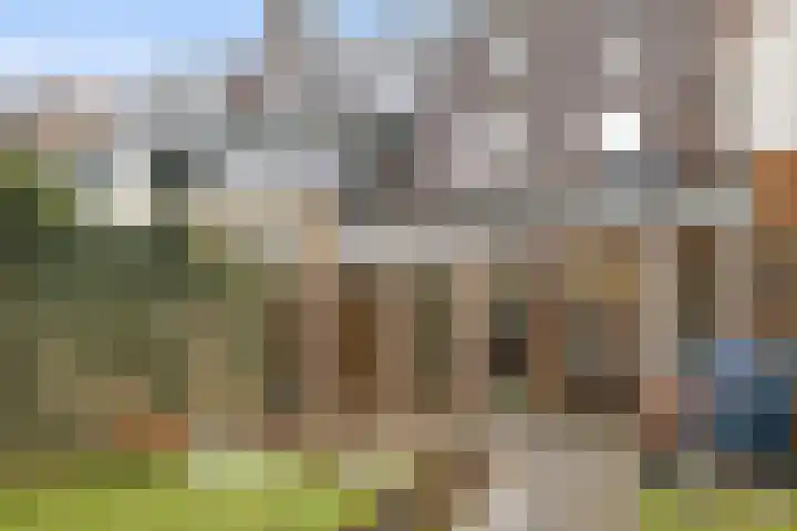 Vleeshouwerstraat 14 Alkmaar thumbnail 28