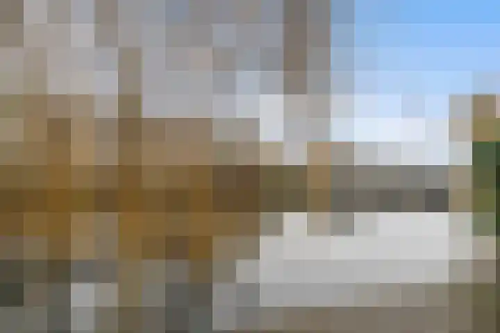 Vleeshouwerstraat 14 Alkmaar thumbnail 30