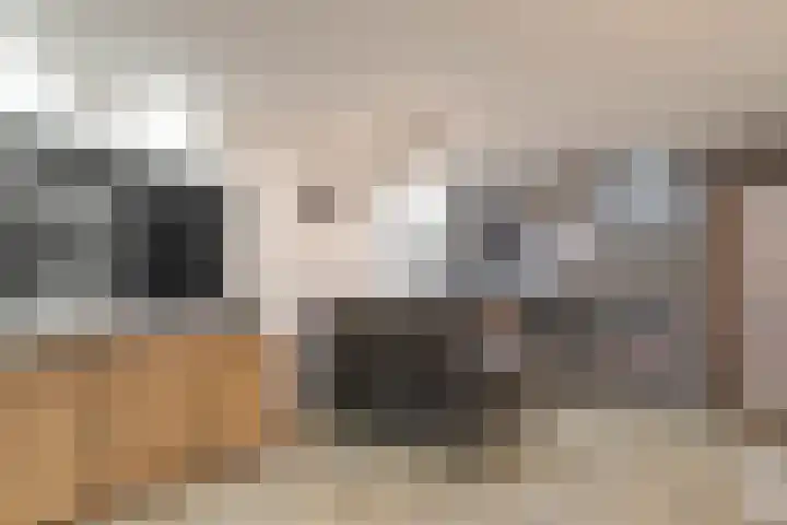 Vleeshouwerstraat 14 Alkmaar thumbnail 5