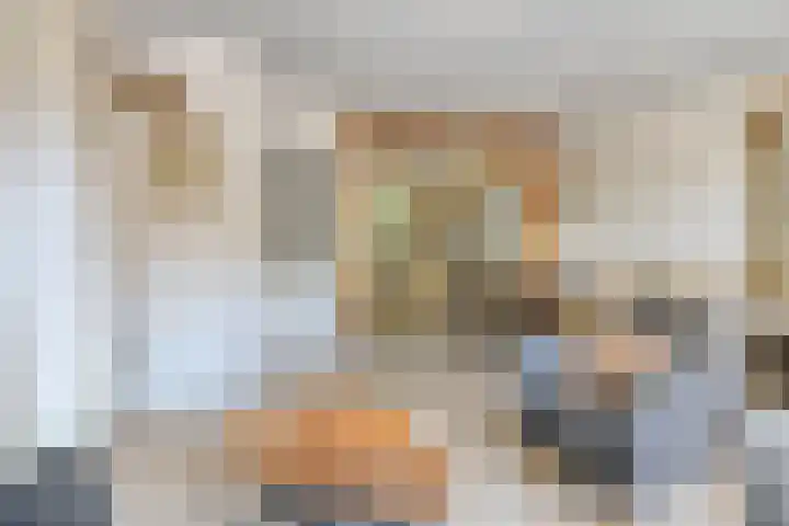 Vleeshouwerstraat 7 Alkmaar thumbnail 18