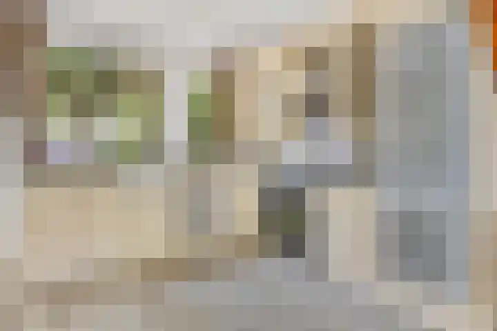 Vleeshouwerstraat 7 Alkmaar thumbnail 21