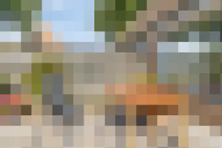 Vleeshouwerstraat 7 Alkmaar thumbnail 39