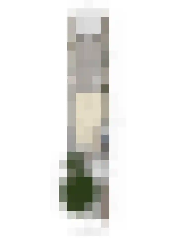 Vleeshouwerstraat 7 Alkmaar thumbnail 44