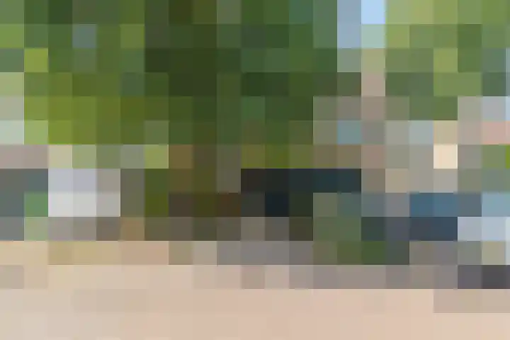 Vleeshouwerstraat 7 Alkmaar thumbnail 7