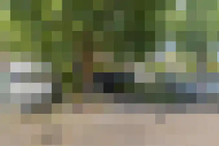 Vleeshouwerstraat 7 Alkmaar thumbnail 9