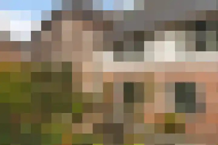 Vleesmarkt 49 Dokkum thumbnail 37