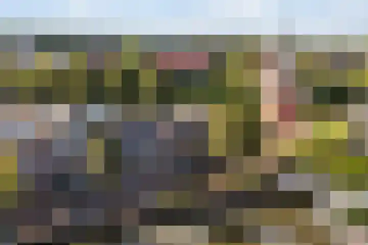Vleesmarkt 49 Dokkum thumbnail 4