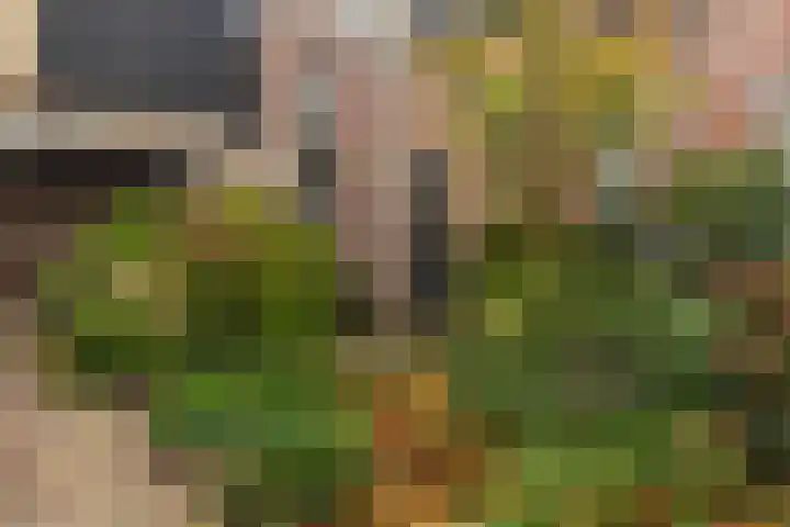 Vleesmarkt 49 Dokkum thumbnail 40
