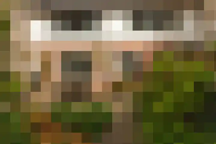 Vleesmarkt 49 Dokkum thumbnail 41