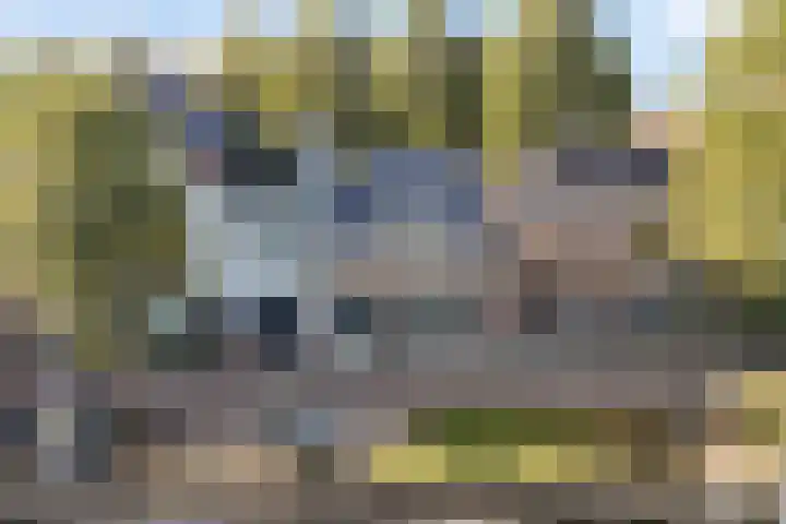 Vleesmarkt 49 Dokkum thumbnail 50
