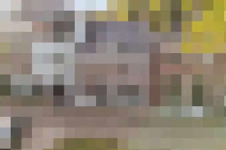 Vleesmarkt 49 Dokkum thumbnail 54